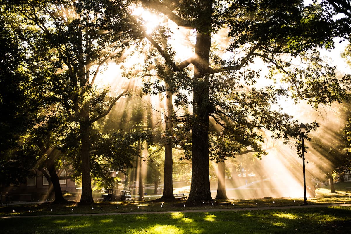 Berea College campus sun and trees