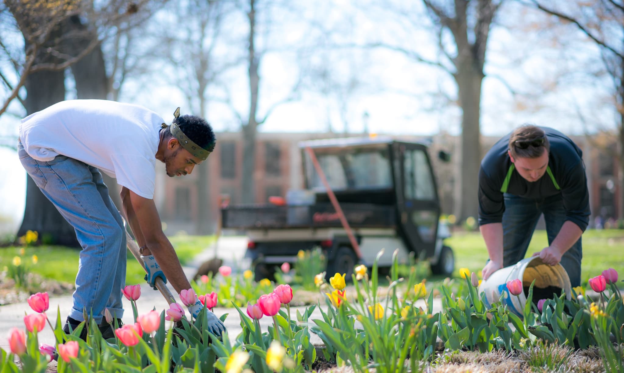 Berea College students working outside