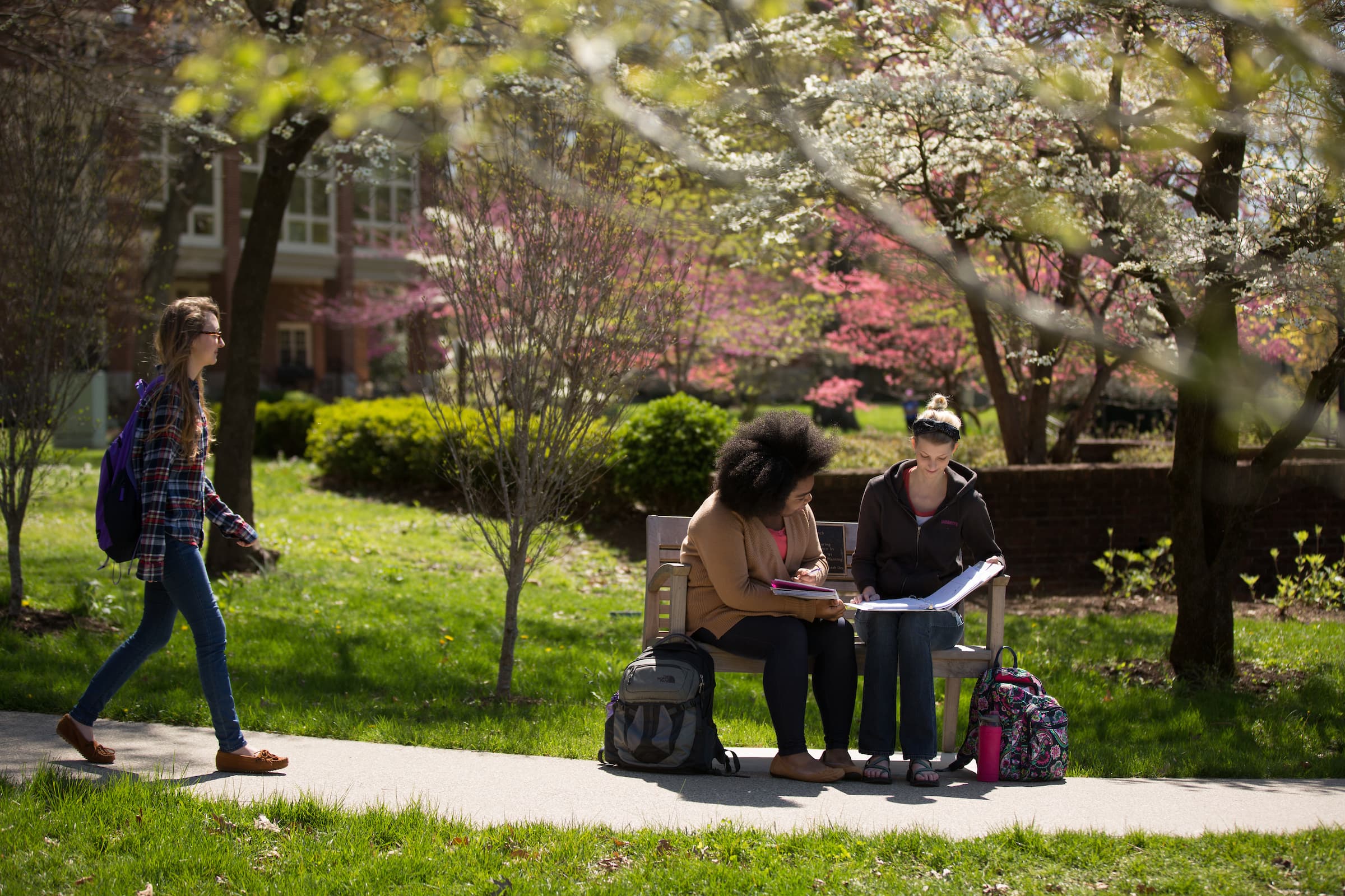 Students sitting on a bench on the Quad