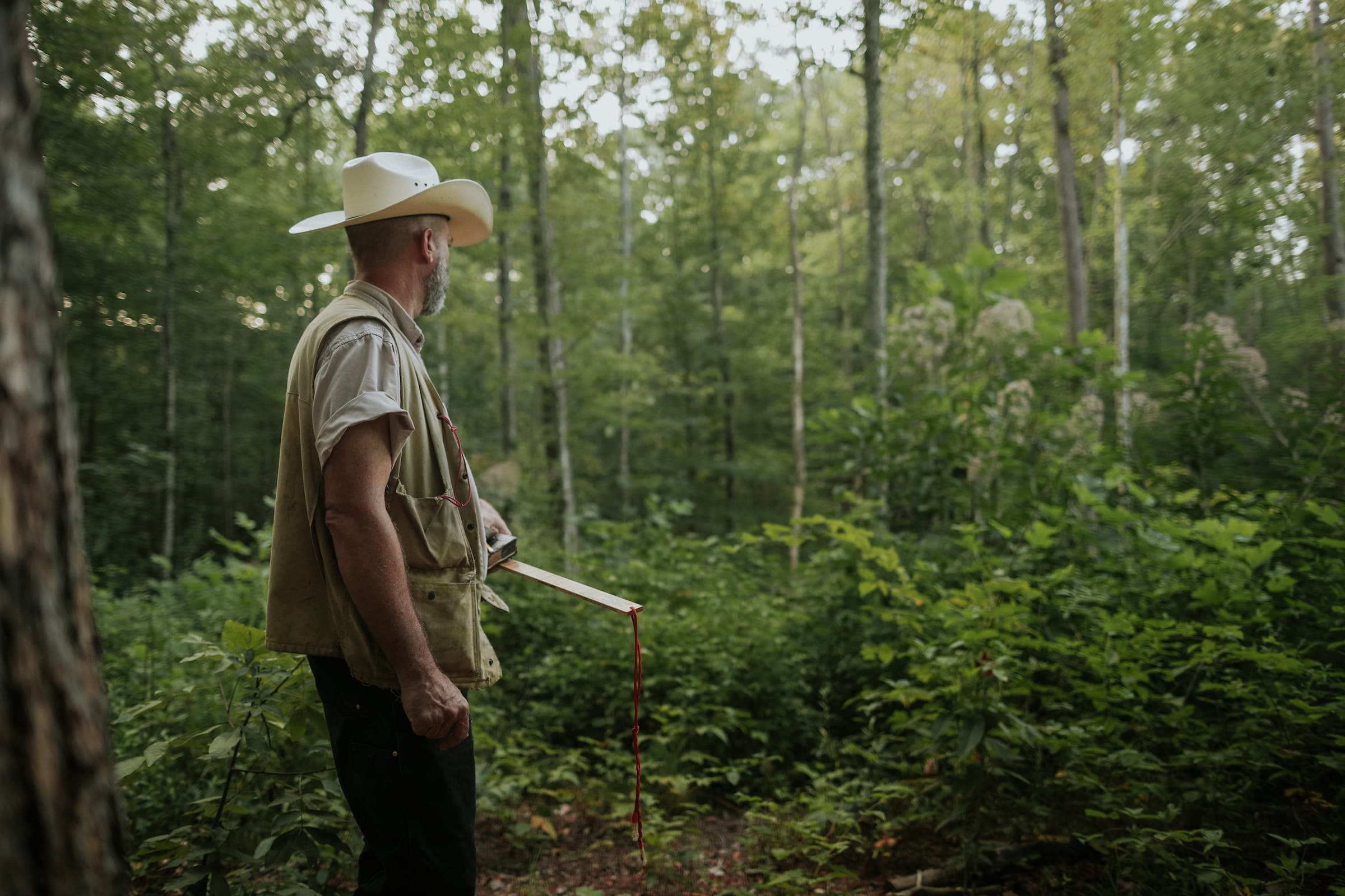 Clint Patterson, Forestry