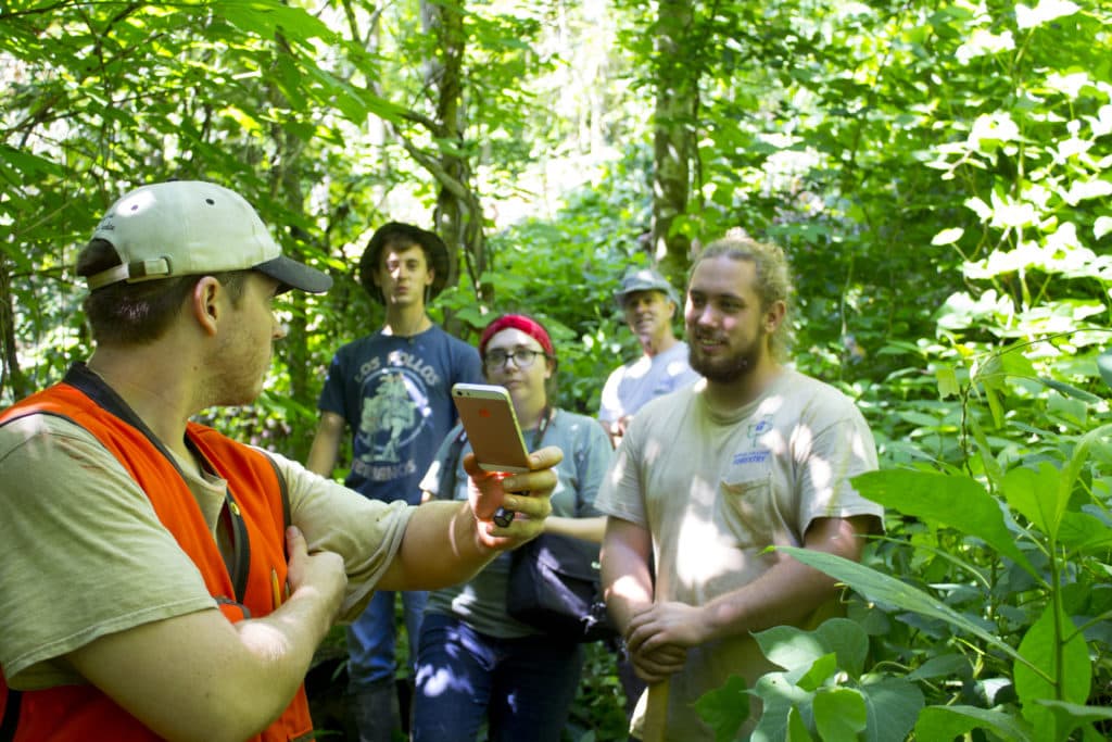 Invasive Species management