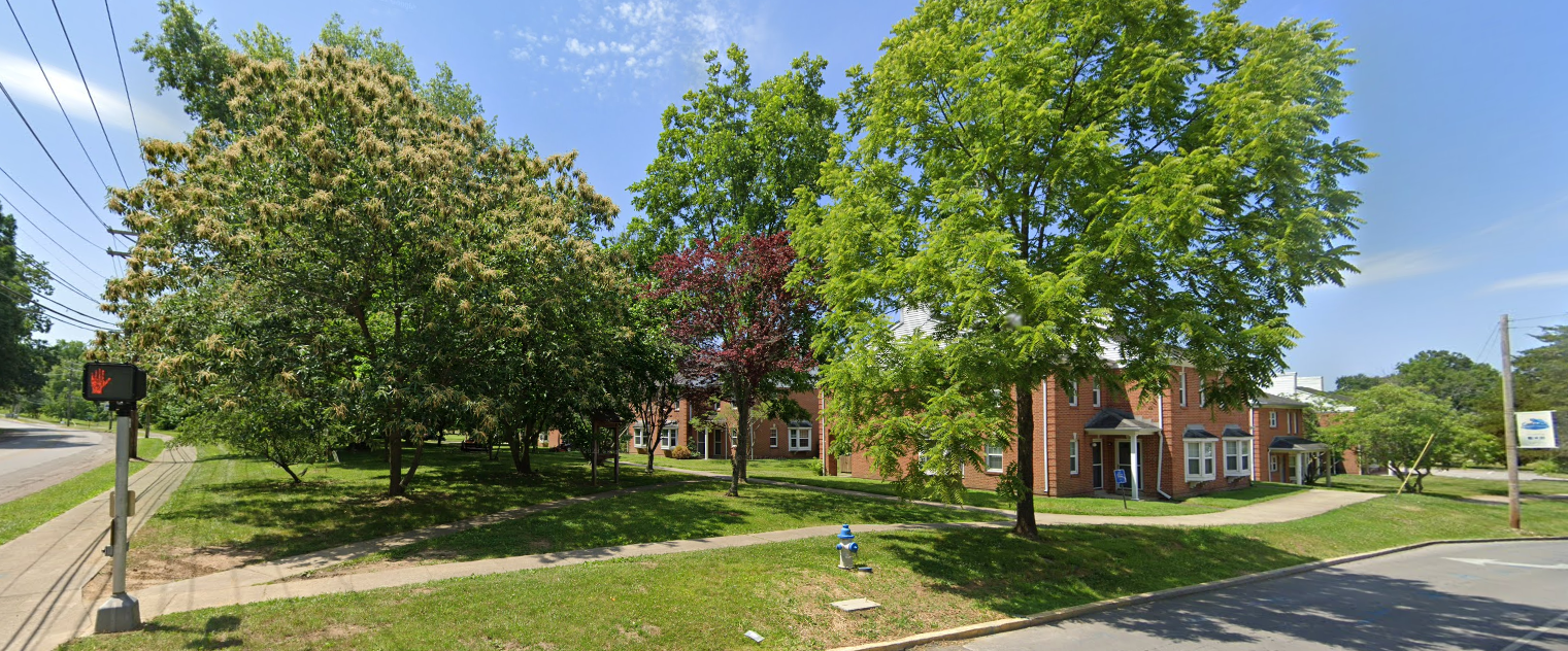 Picture of trees in Ecovillage's Food Forest