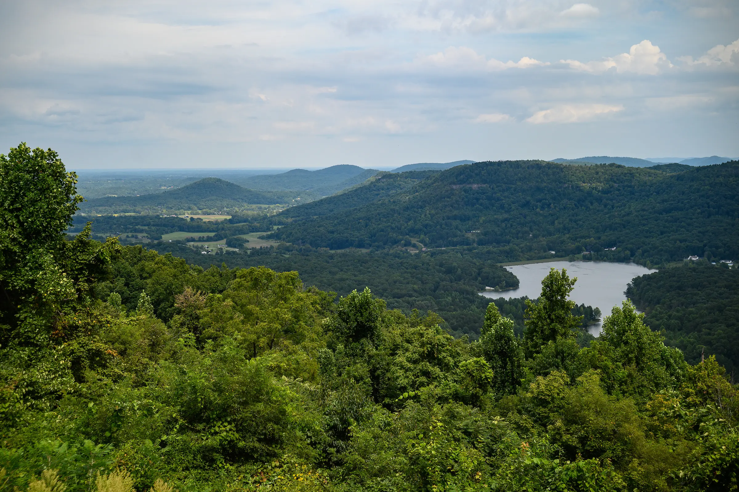 outdoor view of windswept
